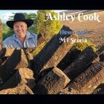 DD421 – ASHLEY COOK – Mt Scoria