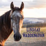 DD665 – Lindsay Waddington – He Liked Horses More Than People
