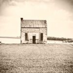 5DD736 – Anne Fraser – Farm Lights - PromoPic4