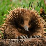 DD883 – Brendan McMahon – Lost My Way