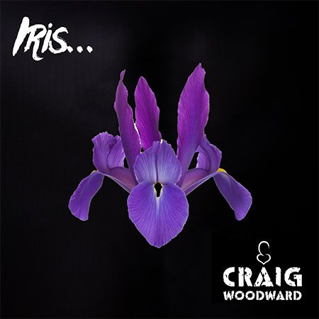5DD910 – Craig Woodward – Iris - Cover