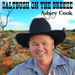 DD996 – Ashley Cook – Saltbush on the Breeze