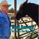 DD1013 – Noel Balfour – So That’s The Way It Is