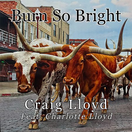 5DD1116 – Craig Lloyd – Burn So Bright (feat. Charlotte Lloyd) - Cover