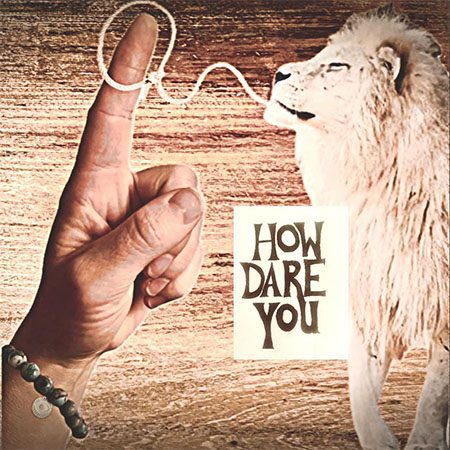 DD1235 – Elskan Fly – How Dare You