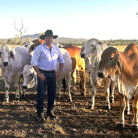 5DD1241 Ashley Cook Rough Diamonds PromoPic3
